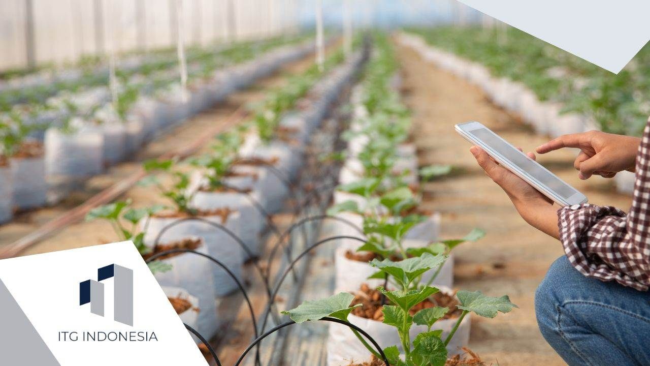 Monitoring Pertanian Modern Dengan Sensor Cerdas - ITG Indonesia